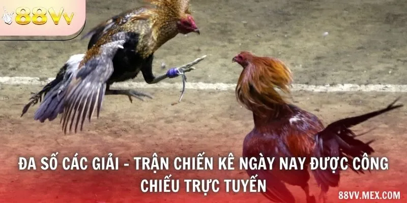 Đa số các giải - trận chiến kê ngày nay được công chiếu trực tuyến