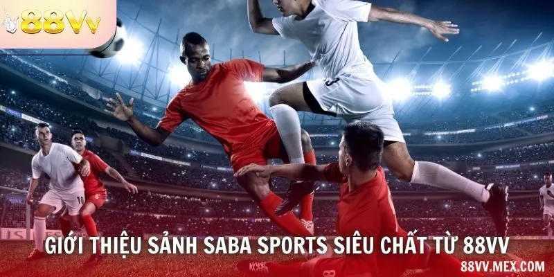 Giới thiệu sảnh SABA Sports siêu chất từ 88VV