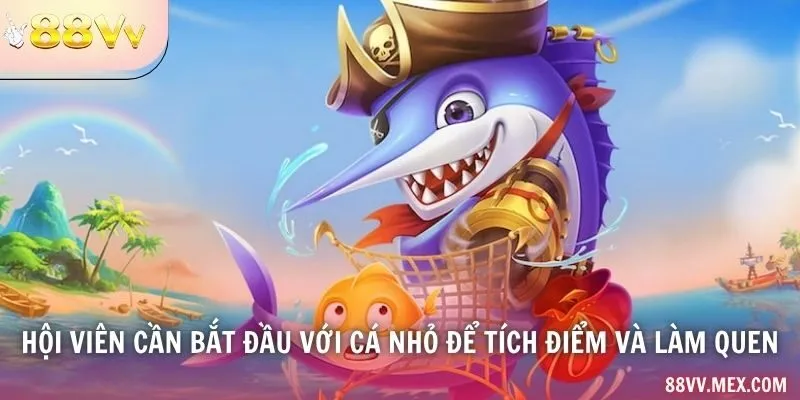 Hội viên cần bắt đầu với cá nhỏ để tích điểm và làm quen