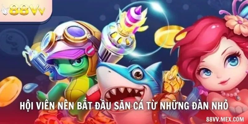 Hội viên nên bắt đầu săn cá từ những đàn nhỏ