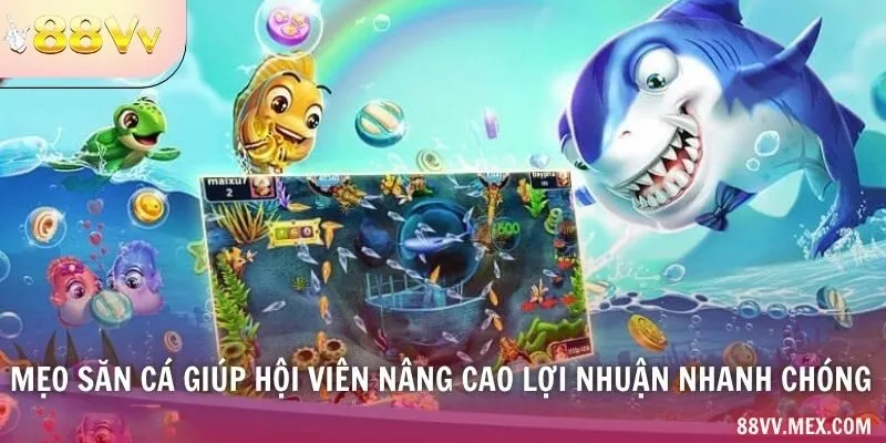 Mẹo săn cá giúp hội viên nâng cao lợi nhuận nhanh chóng