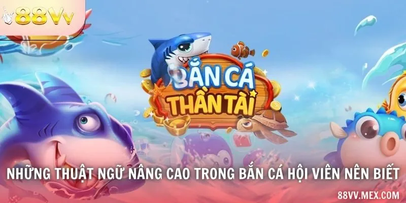 Những thuật ngữ nâng cao trong bắn cá hội viên nên biết